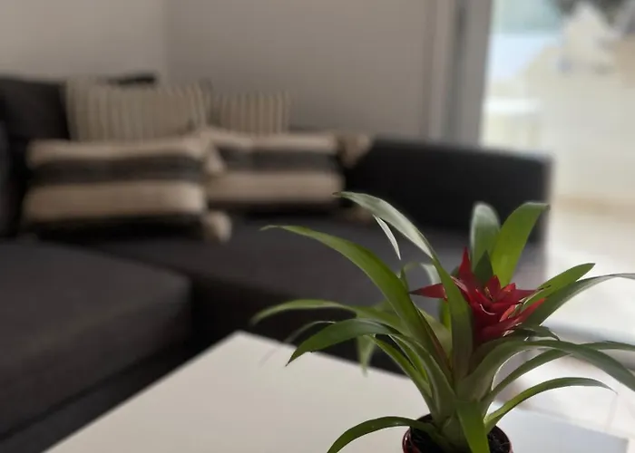 Mythical Sands Resort, Protaras, Choose Joy *